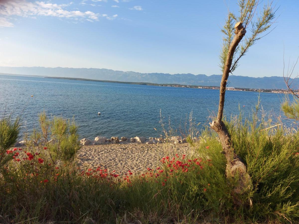 Apartmani Sunside Nin Bagian luar foto